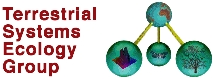 Logo Terrestrische Systemoekologie - Terrestrial Systems Ecology