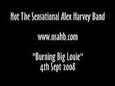 Burning Big Louie-NSAHB.mov